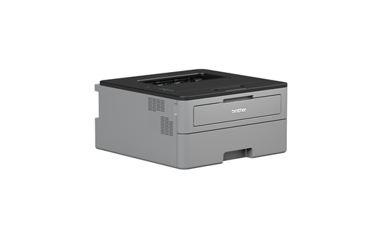 image deBrother HL-L2310D
