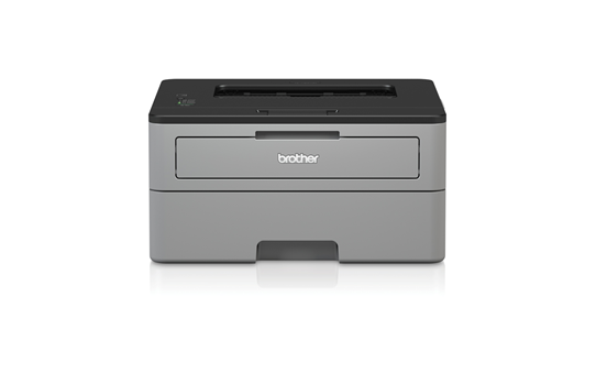 image deBrother HL-L2310D