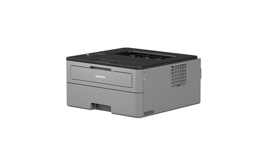 image deBrother HL-L2350DW