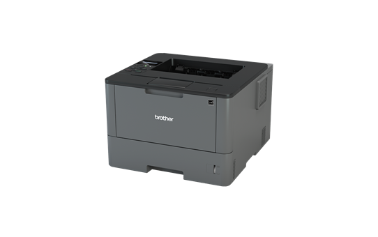 image deBrother HL-L5000D